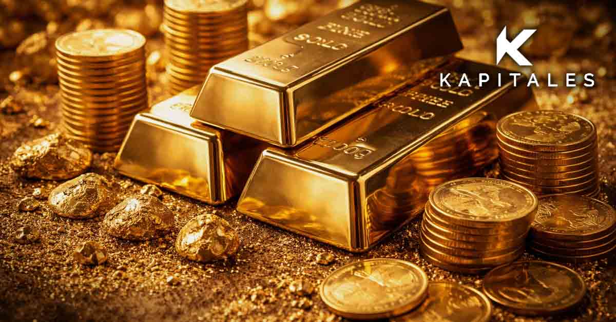 Should we invest in this gold exploration company?